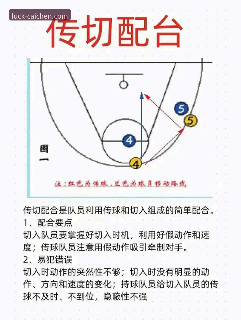 CBA季后赛经典逆转战深度解析教程：从浙江横扫宁波看赛场博弈的底层逻辑